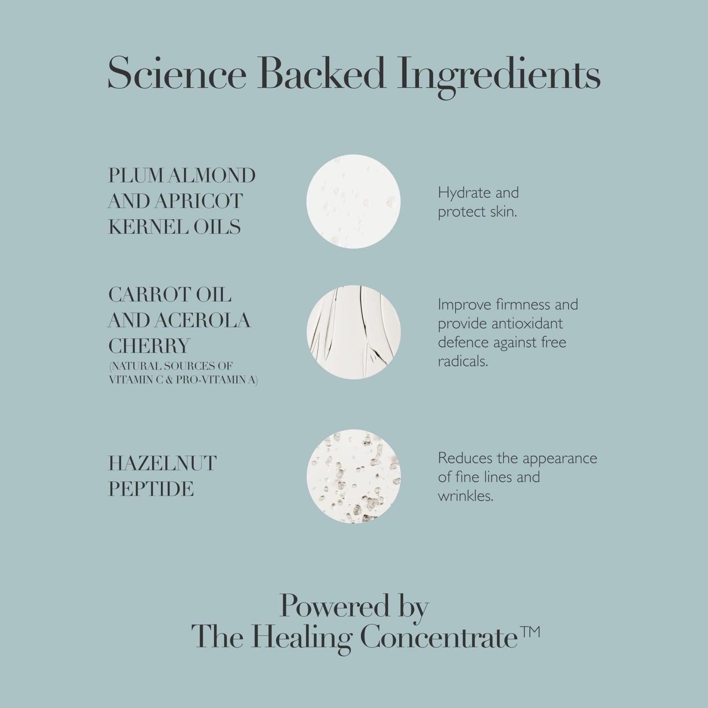 Omorovicza Rejuvenating Night Cream (1.7 oz), Restorative Night Moisturizer for Face, with Hazelnut Peptide and Plum Almond Oil, Overnight Face Mask to Plump, Nourish & Smooth Fine Lines