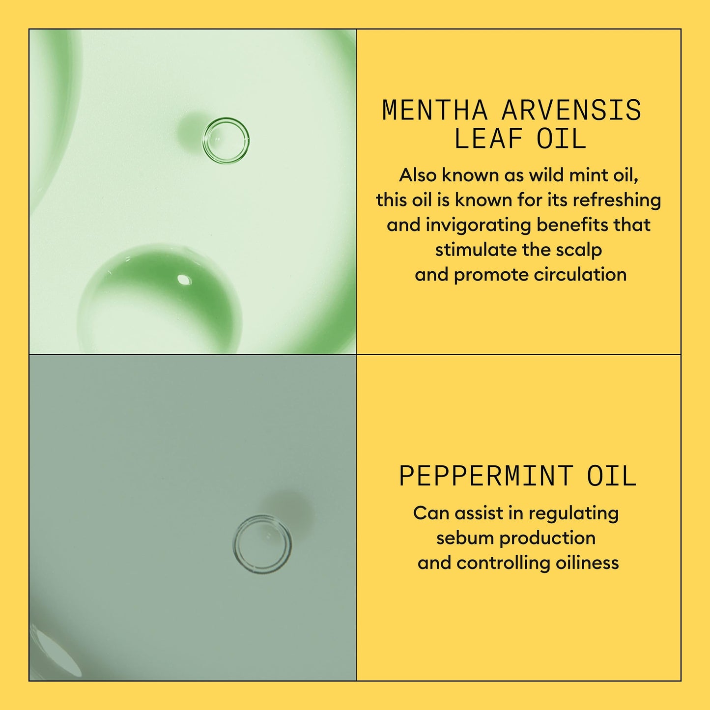 Nioxin System 1 Scalp + Hair Thickening Conditioner for Natural Hair with Light Thinning | Strengthen Against Breakage with Niacinamide & Biotin | Refreshed Scalp with Healthy Shine