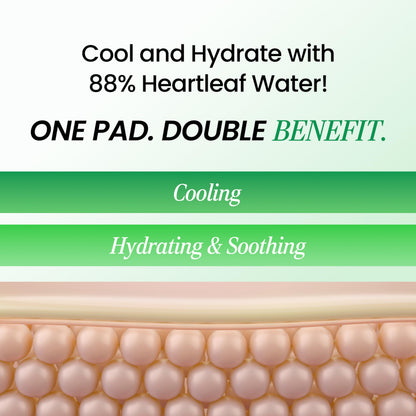 NEOGEN DERMALOGY Real Heartleaf Soothing Daily Pad, Heartleaf Toner Pad/40Pads