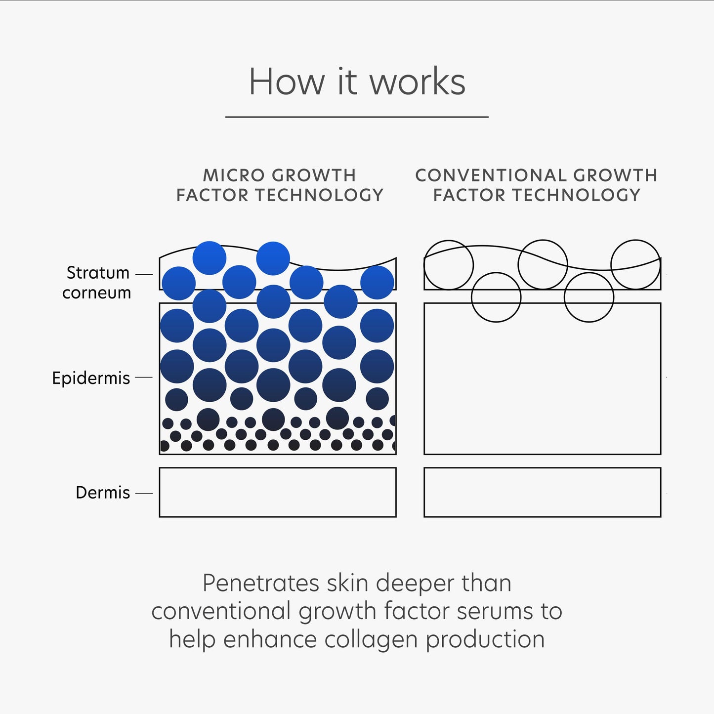 PCA SKIN Pro Max Age Renewal Anti Aging Serum, Anti Aging Face Serum for Reducing Wrinkles and Sagging Skin, Helps Lift and Firm Skin on Face and Neck, Safe For All Skin Types