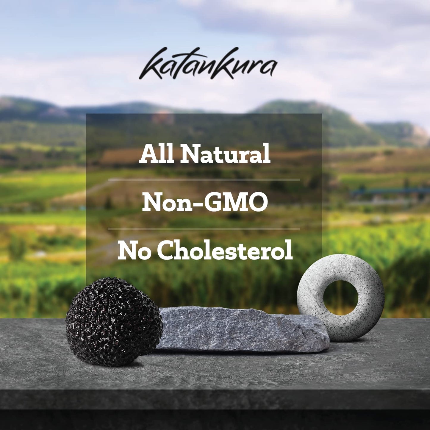 Katankura Whole Black Truffle, Preserved Truffles Wild Harvested, Vegan Gluten Free Non-GMO, Gourmet Fresh Truffle in Glass Jar - 0.28 Oz (Pack of 1)