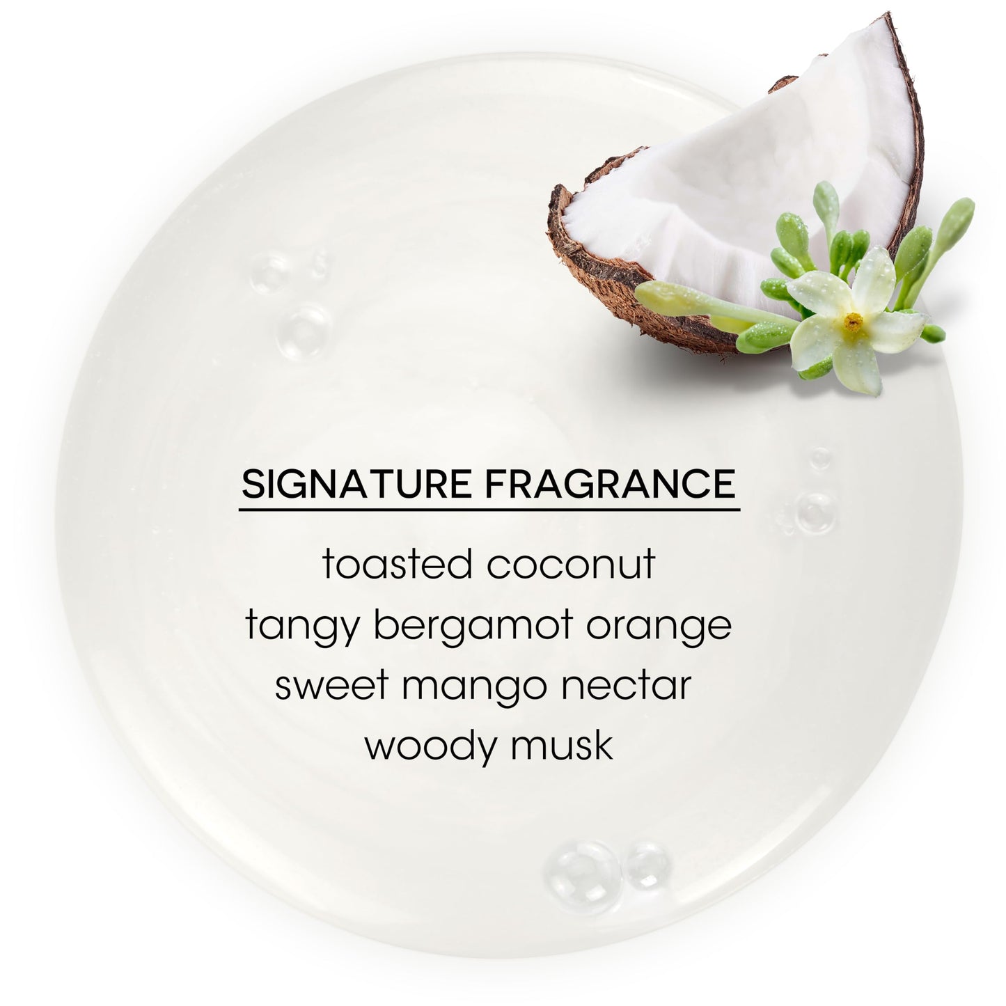 Bain de Terre Coconut Papaya Ultra Hydrating Shampoo, Moisture Quench for Dry, Damaged Hair, with Argan & Monoi Oils, Paraben-Free, Color-Safe, Vegan