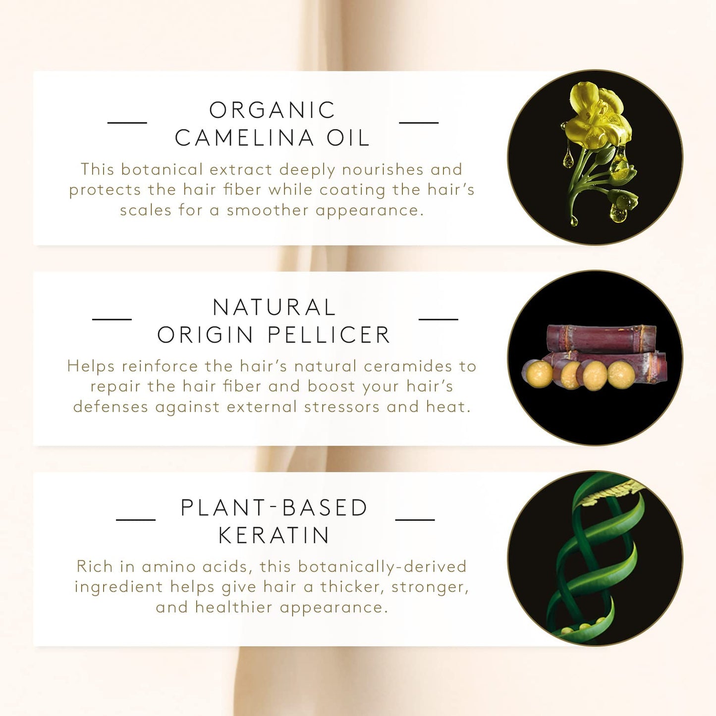 Rene Furterer ABSOLUE KERATINE Ultimate Regenerating Mask - For Damaged, Over-Processed Fine to Medium Hair - Repair & Restore