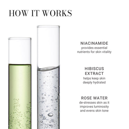Meaningful Beauty Hydrating and Soothing Facial Mist with Niacinamide, 3.4 fl. oz