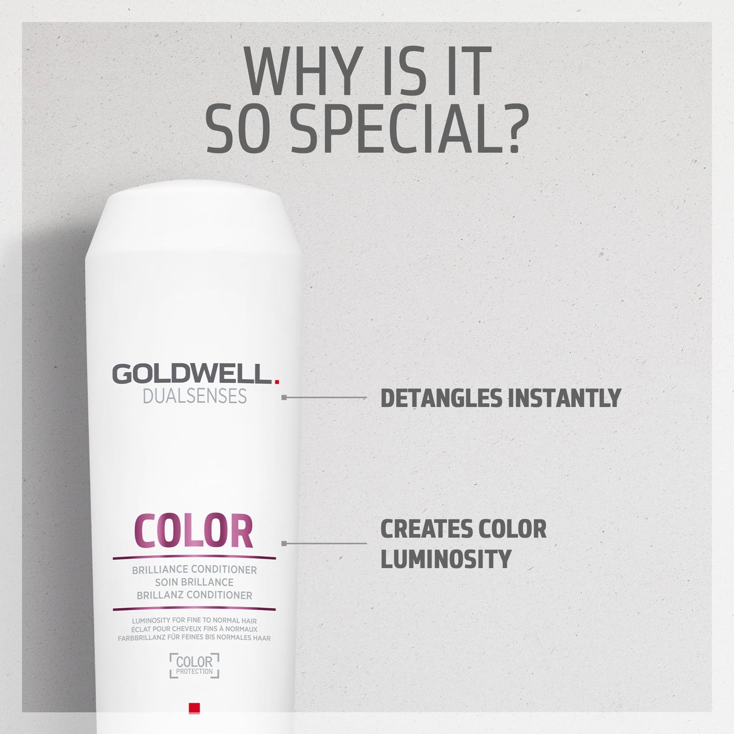 Goldwell Dualsenses Color Brilliance Conditioner, 10.1 Fl Oz (Pack of 1)