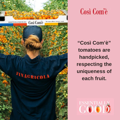 Cosi Come - Yellow Tomato Pasta Sauce with Basil, 10.23 Oz, Made with Yellow Datterino Tomatoes, Non GMO, Non Preservative, Product of Italy
