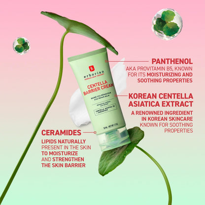 Erborian Centella Barrier Cream, Recovery Balm for Dry & Sensitive Complexions, Deep Ceramide Moisturizer, Calms & Repairs Texture, Korean Skincare