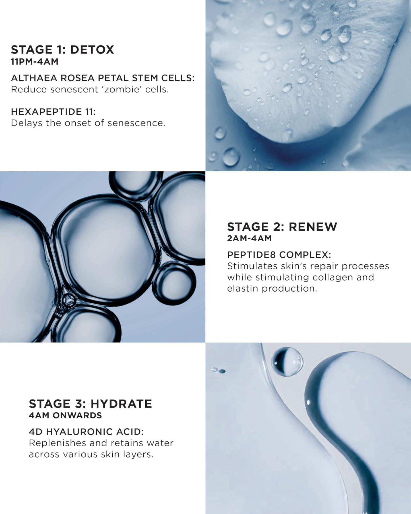 Noble Panacea Absolute Peptide8 Night