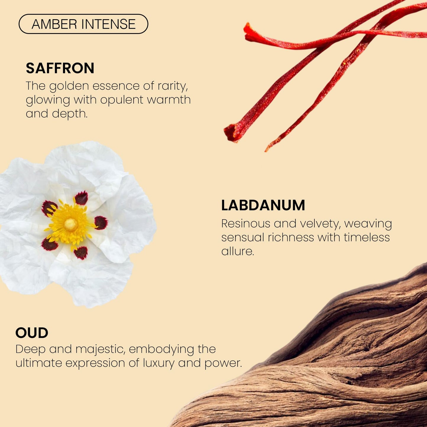 Fragrance Bois Intense Extrait Parfum