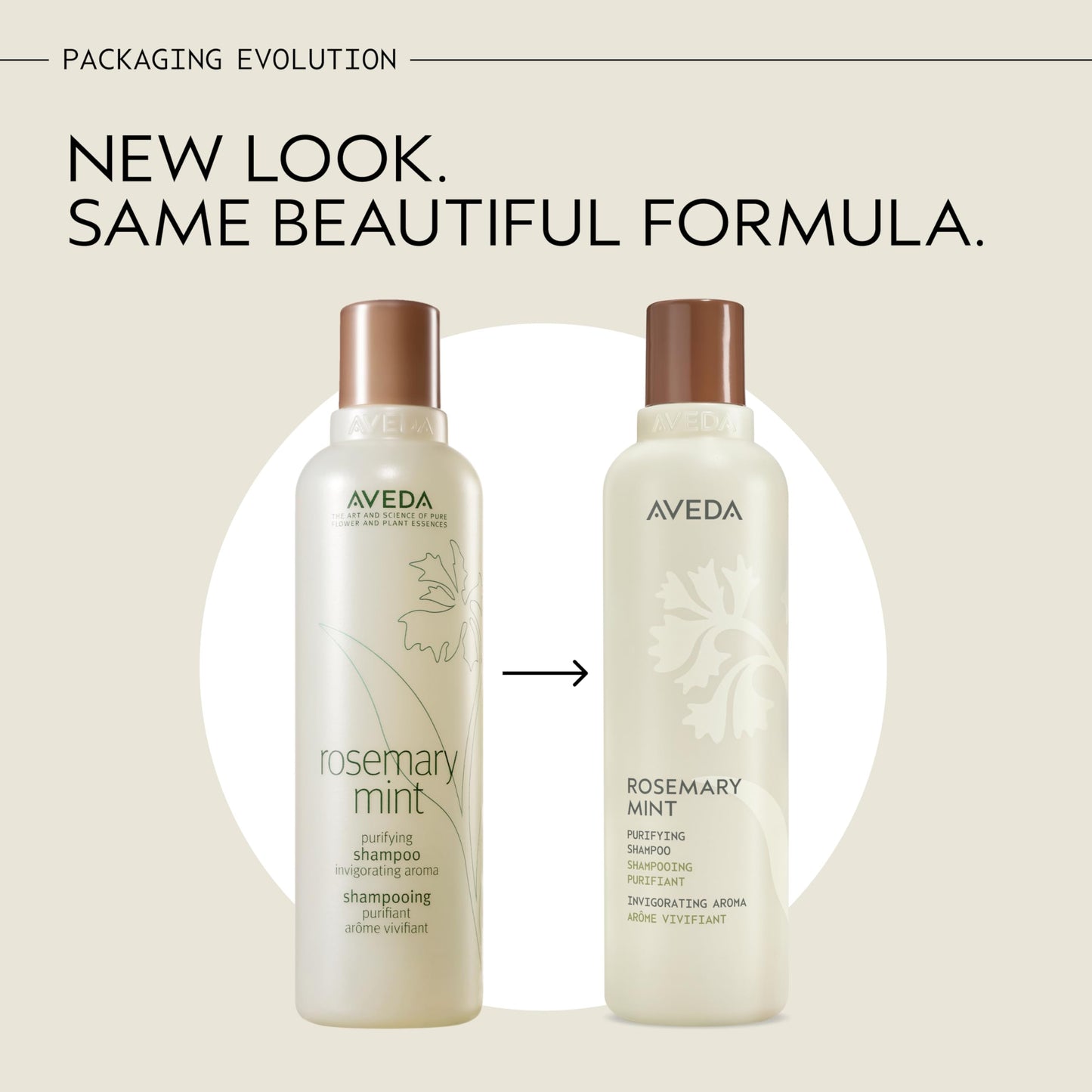 Aveda Rosemary Mint Purifying Shampoo | Clarifying Shampoo | Gently Removes Buildup, Adds Shine | For Normal to Oily Hair, Fine to Medium Hair | Invigorating Aroma| 97% Naturally Derived*