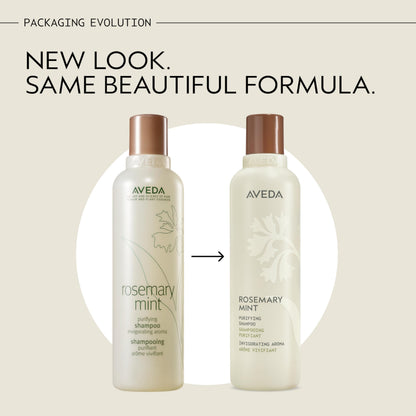 Aveda Rosemary Mint Purifying Shampoo | Clarifying Shampoo | Gently Removes Buildup, Adds Shine | For Normal to Oily Hair, Fine to Medium Hair | Invigorating Aroma| 97% Naturally Derived*