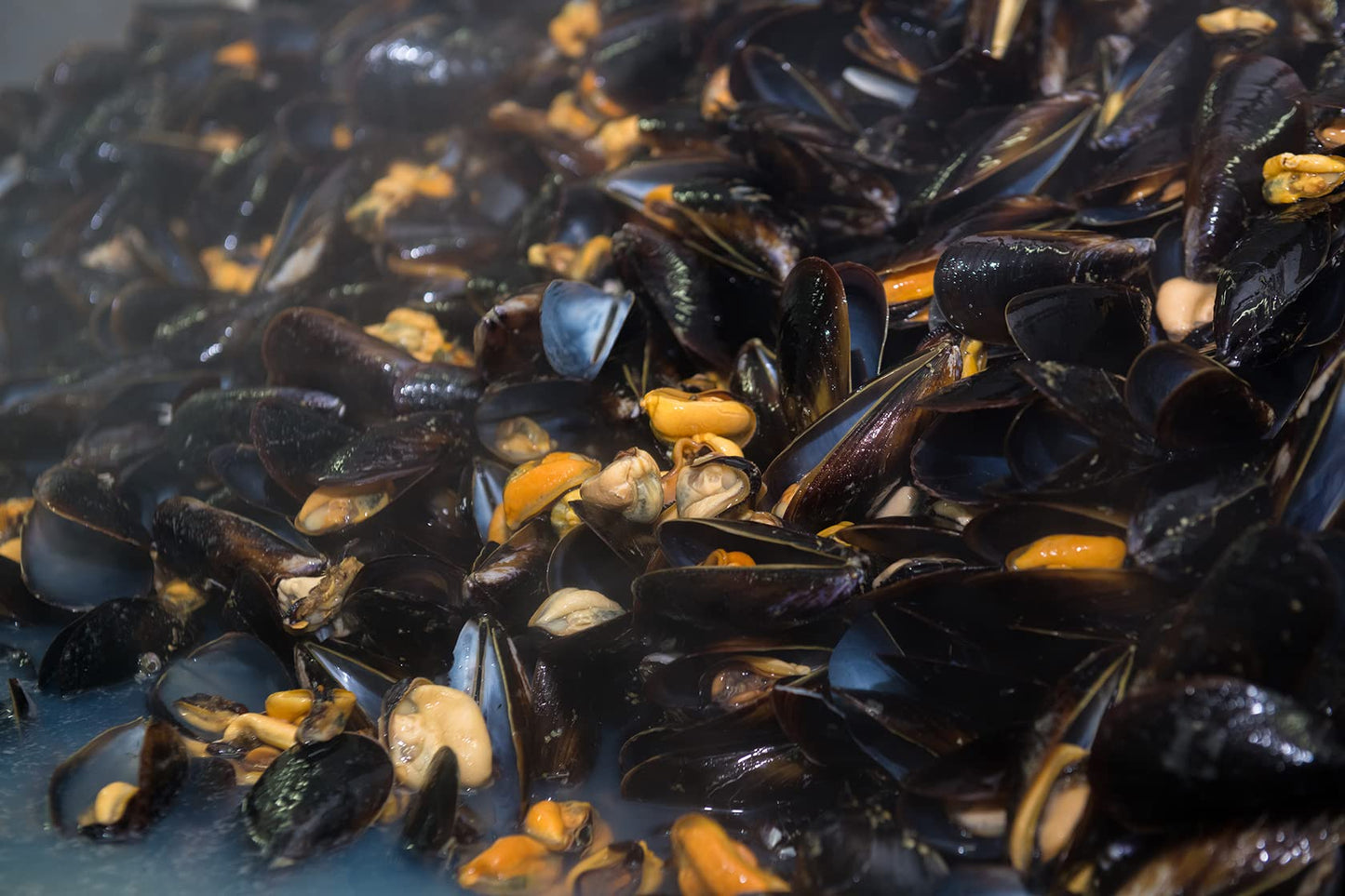 Matiz España Mussels in Extra Virgin Olive Oil & Apple Cider Vinegar | 3.92 oz. - 12 Pack | Handcrafted in Galicia, Spain | Sustainably Cultivated Mussels with Spices |
