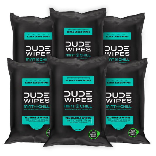 DUDE Wipes Mint Chill Travel Wipes - 6 Packs of 18 (108 Count) - Extra-Large Adult Flushable Wipes - Infused with Tea Tree Oil, Vitamin E, and Aloe - Septic and Sewer Safe