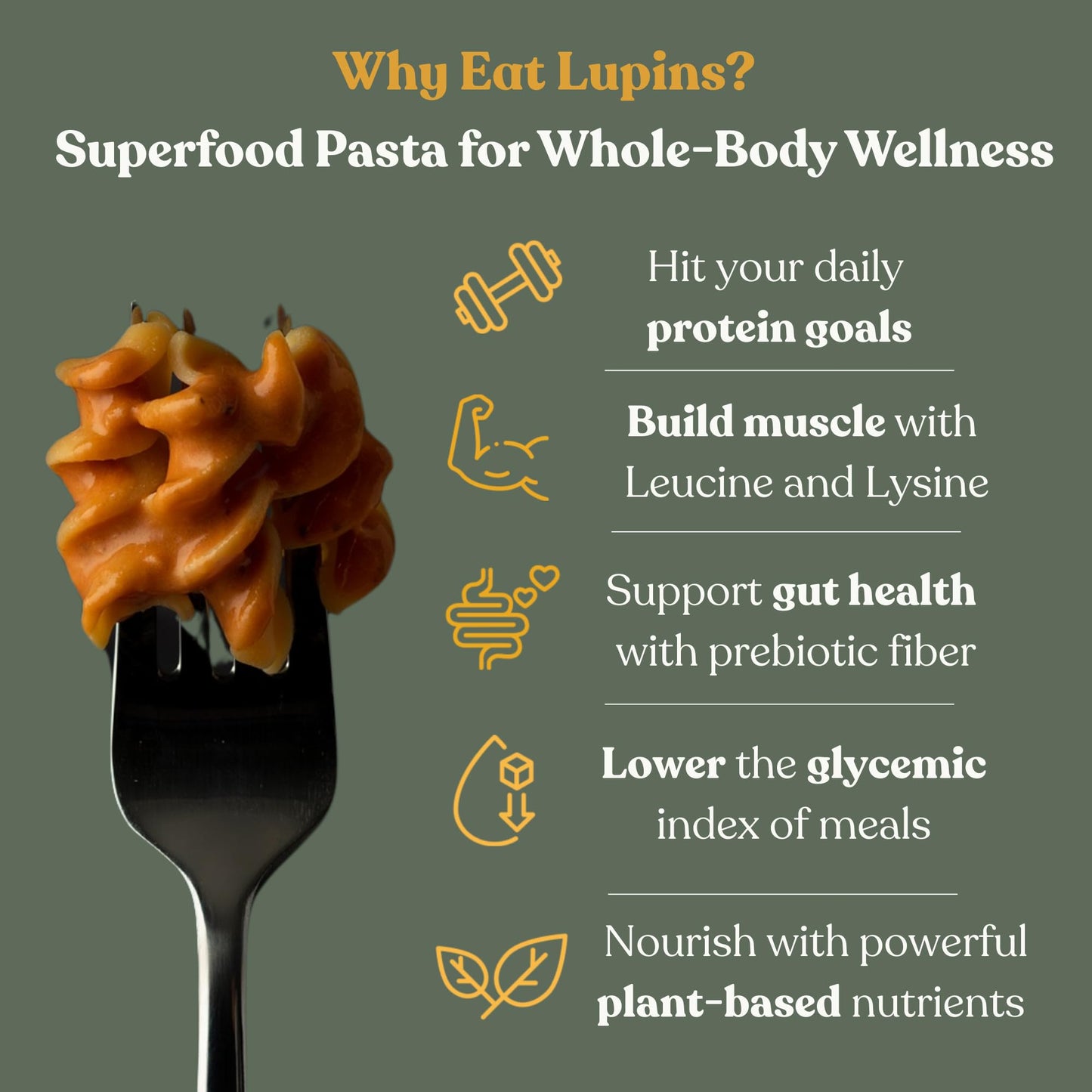 Chef’s Kiss Protein Mixed Case | 24g Protein, High Fiber | Gluten Free, Plant-Based, Lower Carb Pasta Made from Lupins | No Fillers No Gums | Nutrient Dense, High Protein | Non GMO | 4-pack (8oz)