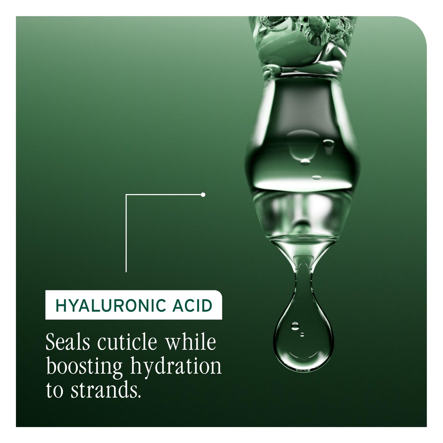 BIOLAGE Hydra Source Detangling Solution - For Dry Hair, Detangles & Controls Static For Less Frizz & Fly-Aways, Paraben-Free