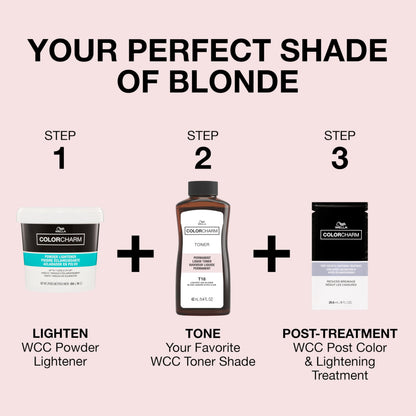 COLORCHARM Permanent Liquid Toners| Neutralize Brass| Free of Parabens| Vegan| T27 Medium Beige Blonde| 1.4 Fl Oz