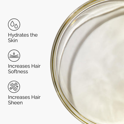 The Ordinary 100% Organic Cold-Pressed Moroccan Argan Oil, Nourishing and Hydrating Treatment for Skin & Hair, 1 Fl Oz