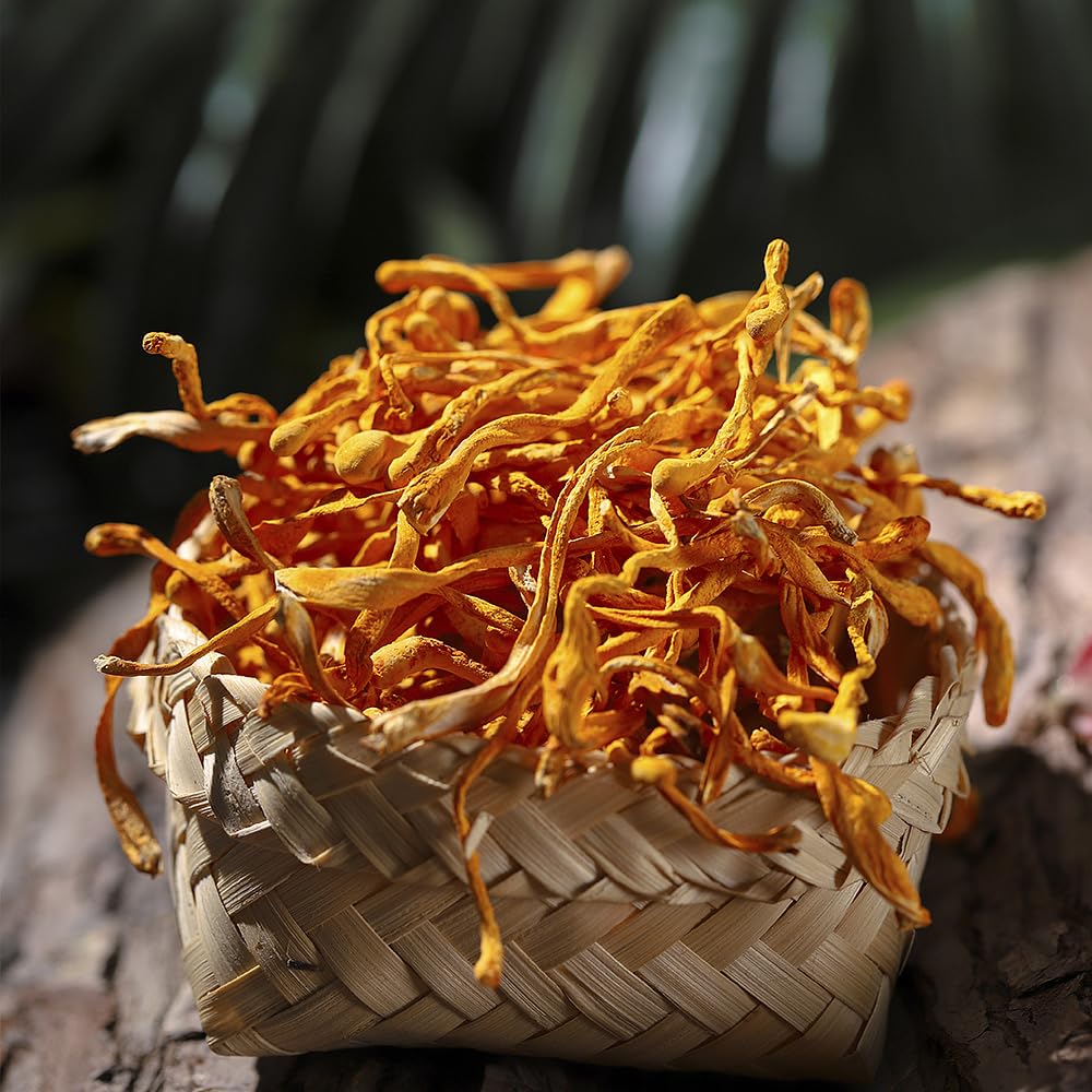 16OZ Cordyceps Flower, 100% Natural Dried Cordyceps Mushroom Supports Energy Immune Function for Soup/Cooking/Cooling/Tea
