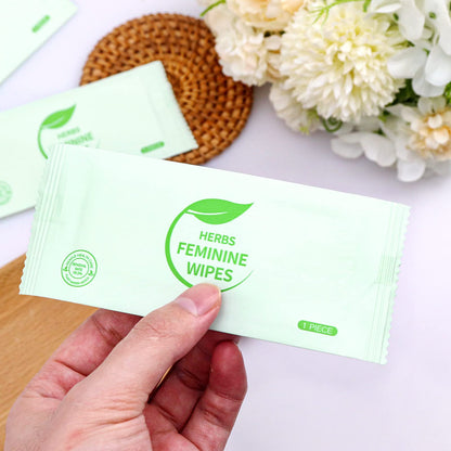 Individually Wrapped Personal Hygiene Wipes,100 Pack Feminine Wipes Travel,Plant Extracts,Travel Essential Easy to Carry,Hygiene Wipes for Women to Give Loved Ones Friends Homeless People,Large