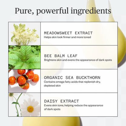 Ursa Major Golden Hour Body Serum | Firms, Smooths & Revitalizes Skin’s Appearance | Hydrates and Moisturizes | Evens Tone and Texture | Vegan, Cruelty-Free, Non-Toxic | 5 ounce