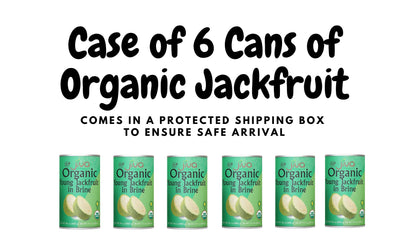 Jiva Organic Young Green Jackfruit 14 Ounce (Pack of 6) - BPA Free, Gluten Free, Jackfruit Canned, Delicious Vegan Meatless Alternative