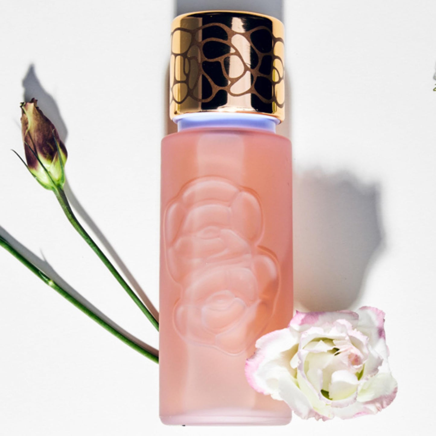 Houbigant Quelques Fleurs Royale Parfum