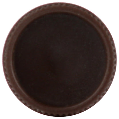 Burts Bees 100% Natural Tinted Lip Balm, Pink Blossom with Shea Butter & Botanical Waxes 1 Tube