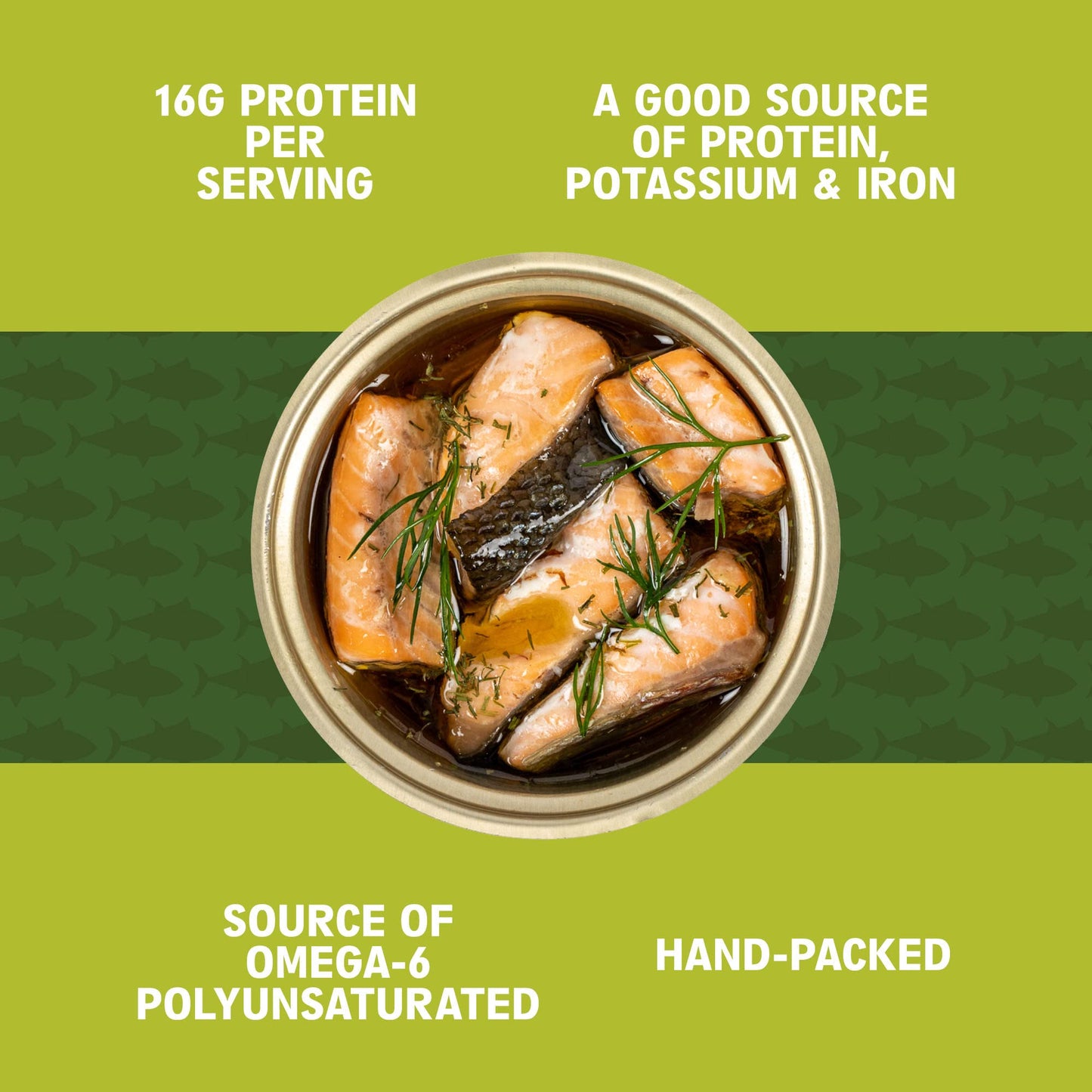 SCOUT Rainbow Trout with Dill | Responsibly Sourced Seafood Tins | Rainbow Trout in BPA-Free, Recyclable Cans (Pack of 1 x 90g tins)
