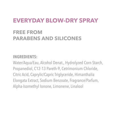 Goldwell StyleSign Everyday Blow-Dry Spray