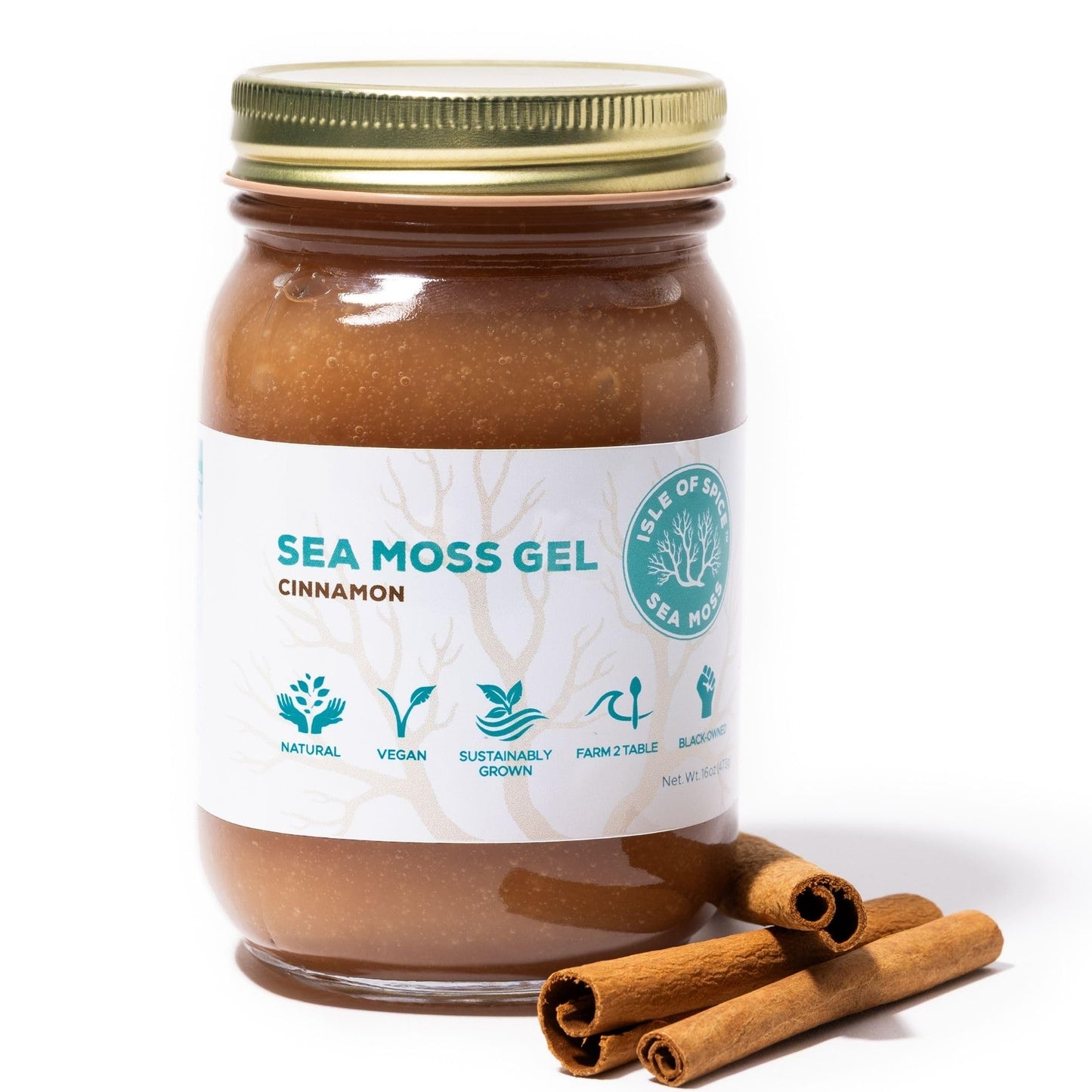 Isle of Spice Sea Moss Gel – Sustainably Grown Caribbean Sea Moss, Natural & Flavored Varieties (16 fl oz, Cinnamon Infused)