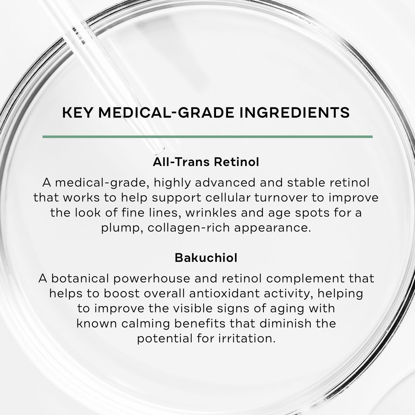 Replenix Anti-Aging Retinol + Bakuchiol Concentrated Face Serum, Medical-Grade Facial Treatment for Mature, Uneven Skin (1 fl. oz)