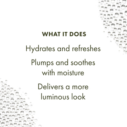 Origins Mega-Mushroom Soothing Face Mist | Plumps, Refreshes & Soothes | With Reishi & Snow Mushroom, 3.4 Fl Oz