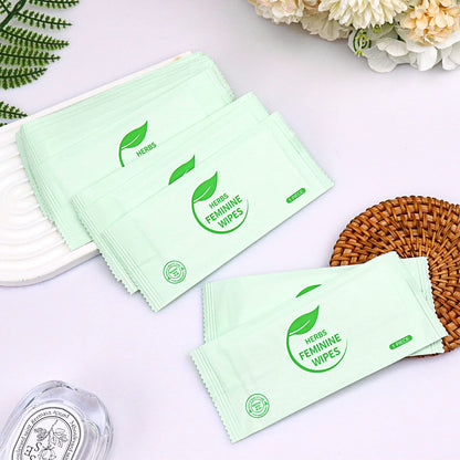 Individually Wrapped Personal Hygiene Wipes,100 Pack Feminine Wipes Travel,Plant Extracts,Travel Essential Easy to Carry,Hygiene Wipes for Women to Give Loved Ones Friends Homeless People,Large