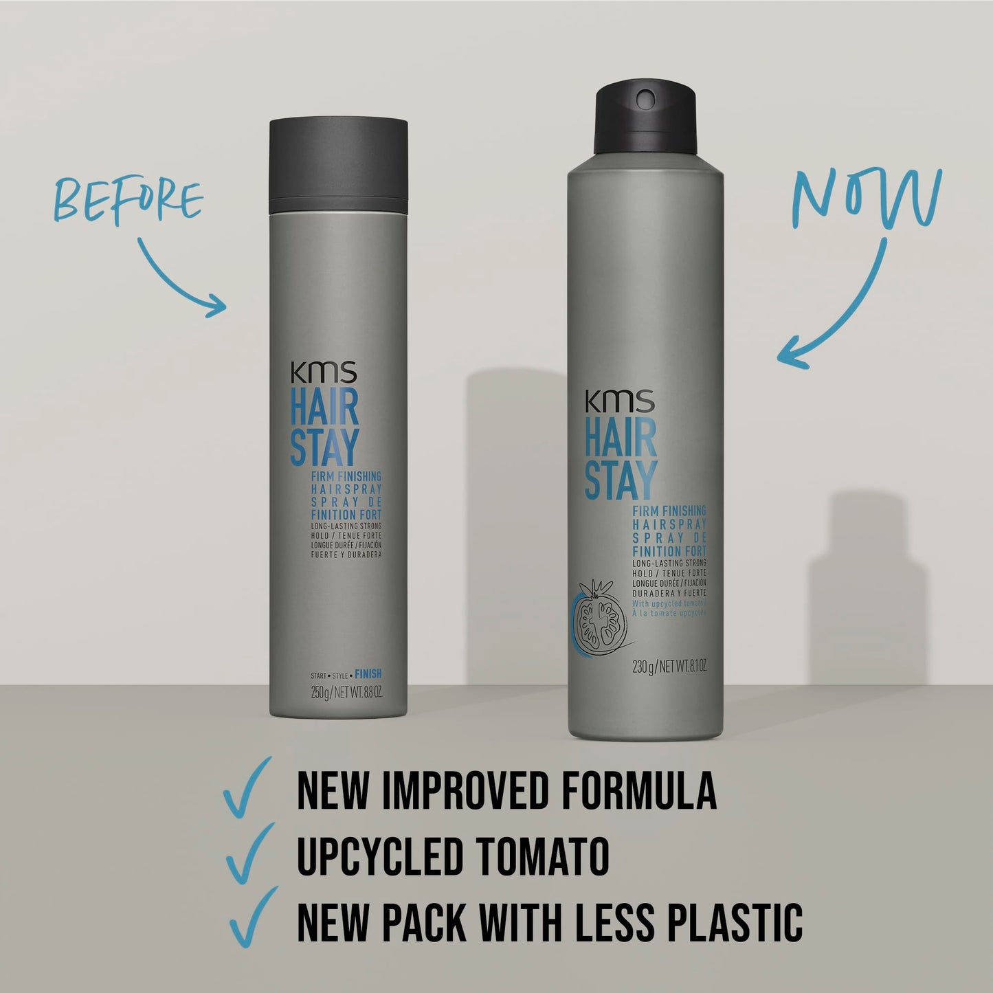 HairStay Firm Finishing Spray