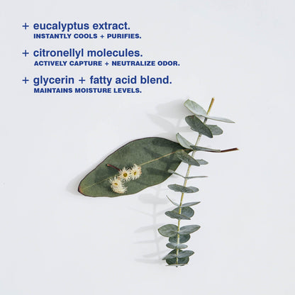 MALIN+GOETZ Deodorant | Eucalyptus, Bergamot, Otto Scents | Aluminum-Free, Residue-Free, Refreshing Gel Stick Formula | Vegan & Cruelty-Free (2.6oz & 1oz Sizes)