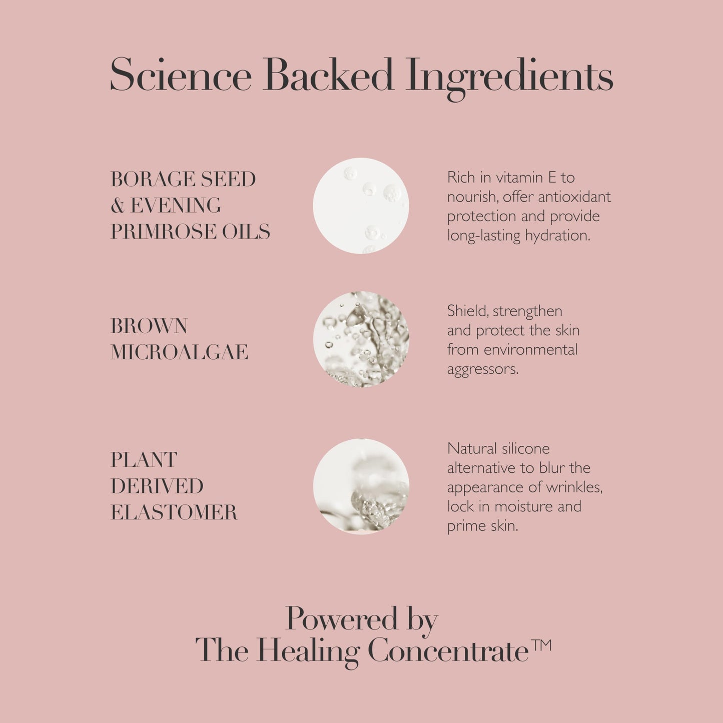 Omorovicza Queen Cream (1.0 oz), Face Moisturizer, Daily Priming Moisturizer Face Cream with Plant-Derived Elastomer, Brown Microalgae & Antioxidant Oils to Hydrate, Plump & Blur Fine Lines
