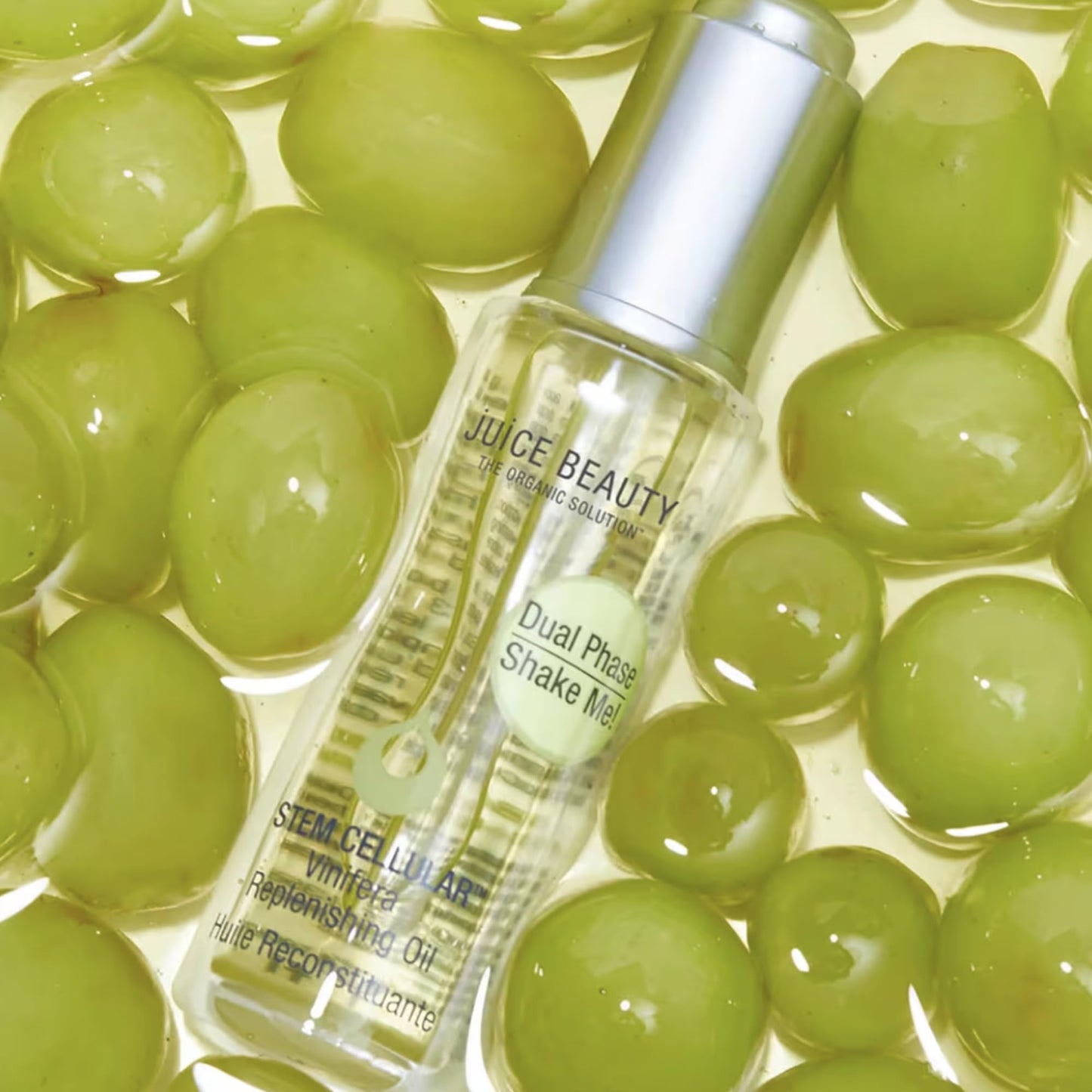 JB SC, STEM CELLULAR Vinifera Replenishing Oil, 30ml