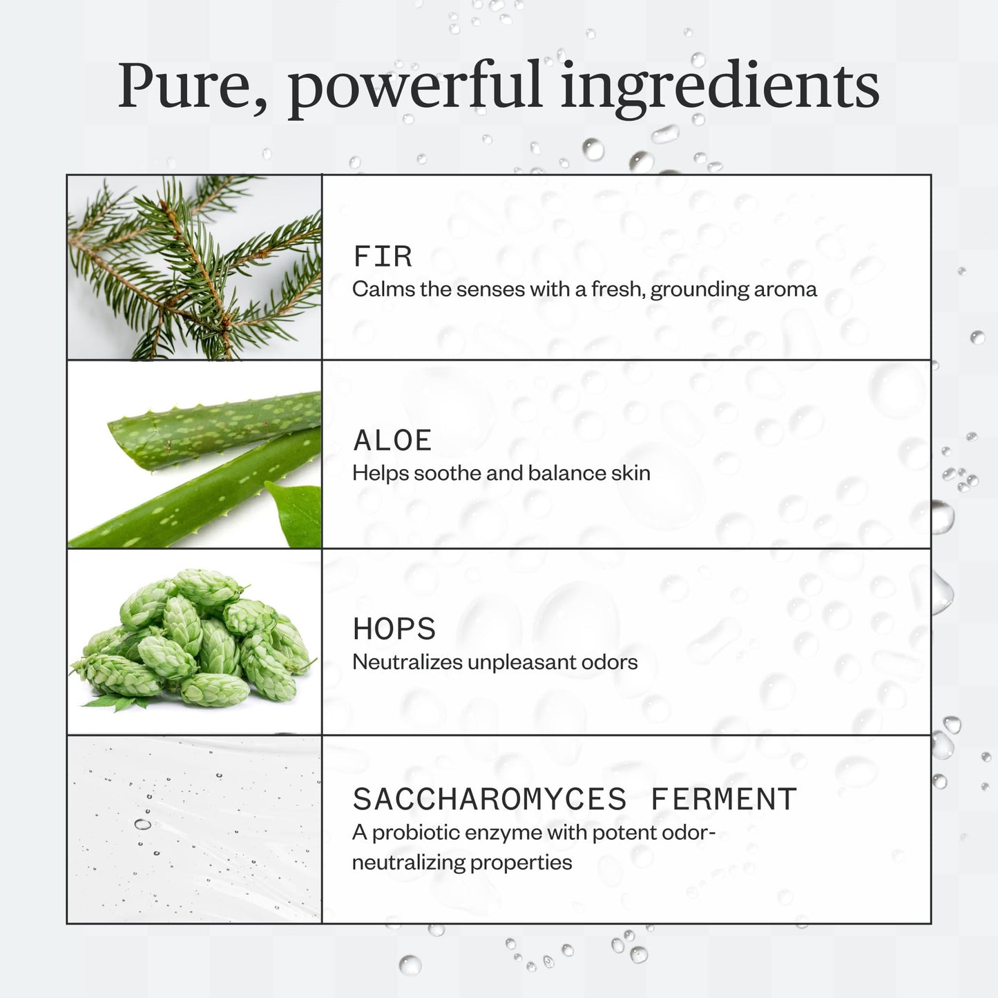 Ursa Major Forest Fix Spray Deodorant | Formerly Known As Sublime Sage | Aluminum-Free & Baking-Soda Free | Vegan, Cruelty-free, Non-Staining | 1.79 ounces