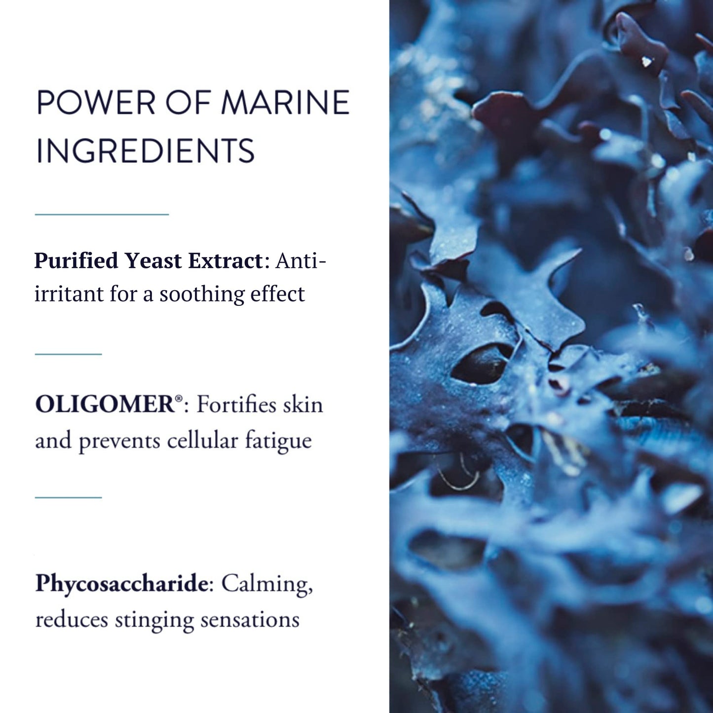 PHYTOMER Oligoforce Soothing Enforcement Face Serum | Soothing Serum for Irritated, Sensitive Skin | Calms Skin & Reduce Redness | Natural Ingredients | Sustainable & Eco-Friendly | 30 ml