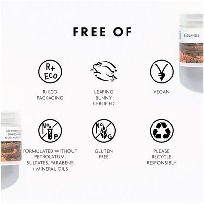 R+Co Badlands Dry Shampoo Paste | Part Dry Shampoo, Part Styling Paste | Adds Texture, Absorbs Oil, Matte Finish