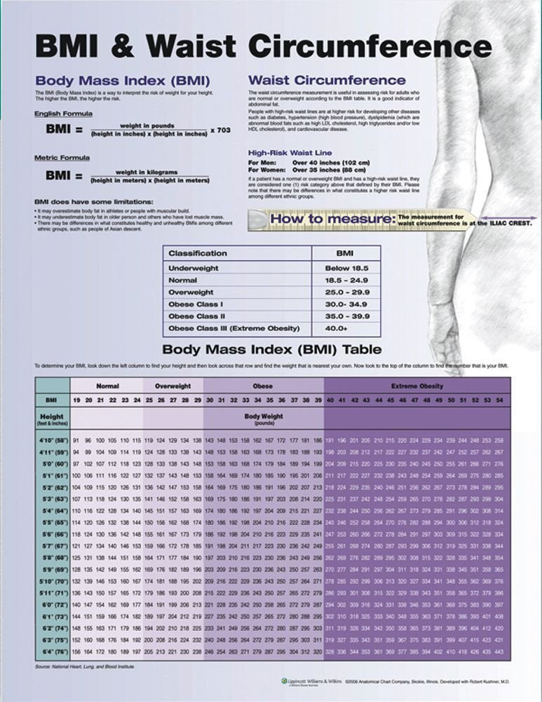 BMI and Waist Circumference