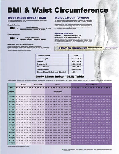 BMI and Waist Circumference