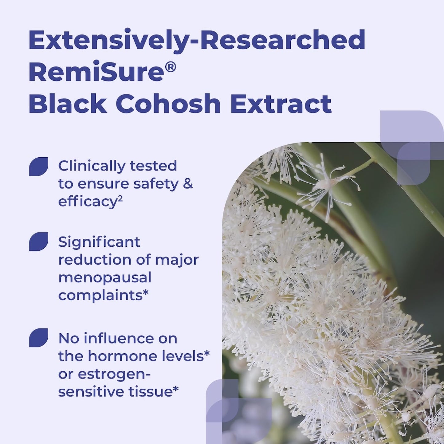 Remifemin Good Night - Menopause Symptoms Relief & Restful Sleep Support - Clinically Proven Ingredients - Menopause Supplements - Black Cohosh - Estrogen-Free - Made in Germany - 60 Tablets