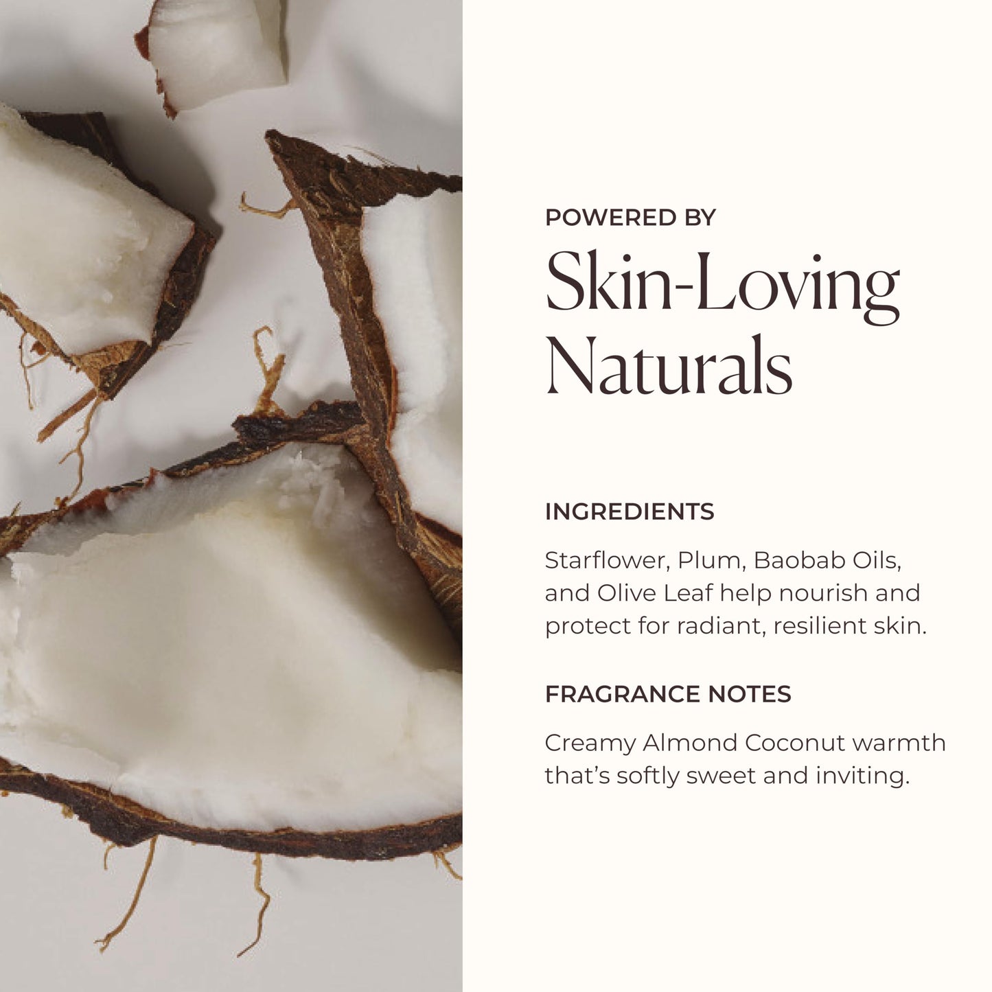 Laura Mercier Serum Body Cream, Moisturizing Serum-Infused, 48HR Hydration, Improves Skin Barrier, Soothes Dry Skin, Shea Butter and Squalane Intensely Nourishes, Bath & Body Set
