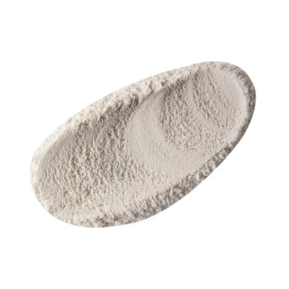 G.M. COLLIN Active Exfoliant Powder | Exfoliating Face Cleanser with Salicylic Acid and Papaya Enzyme | Gentle Daily Facial Scrub with Niacinamide