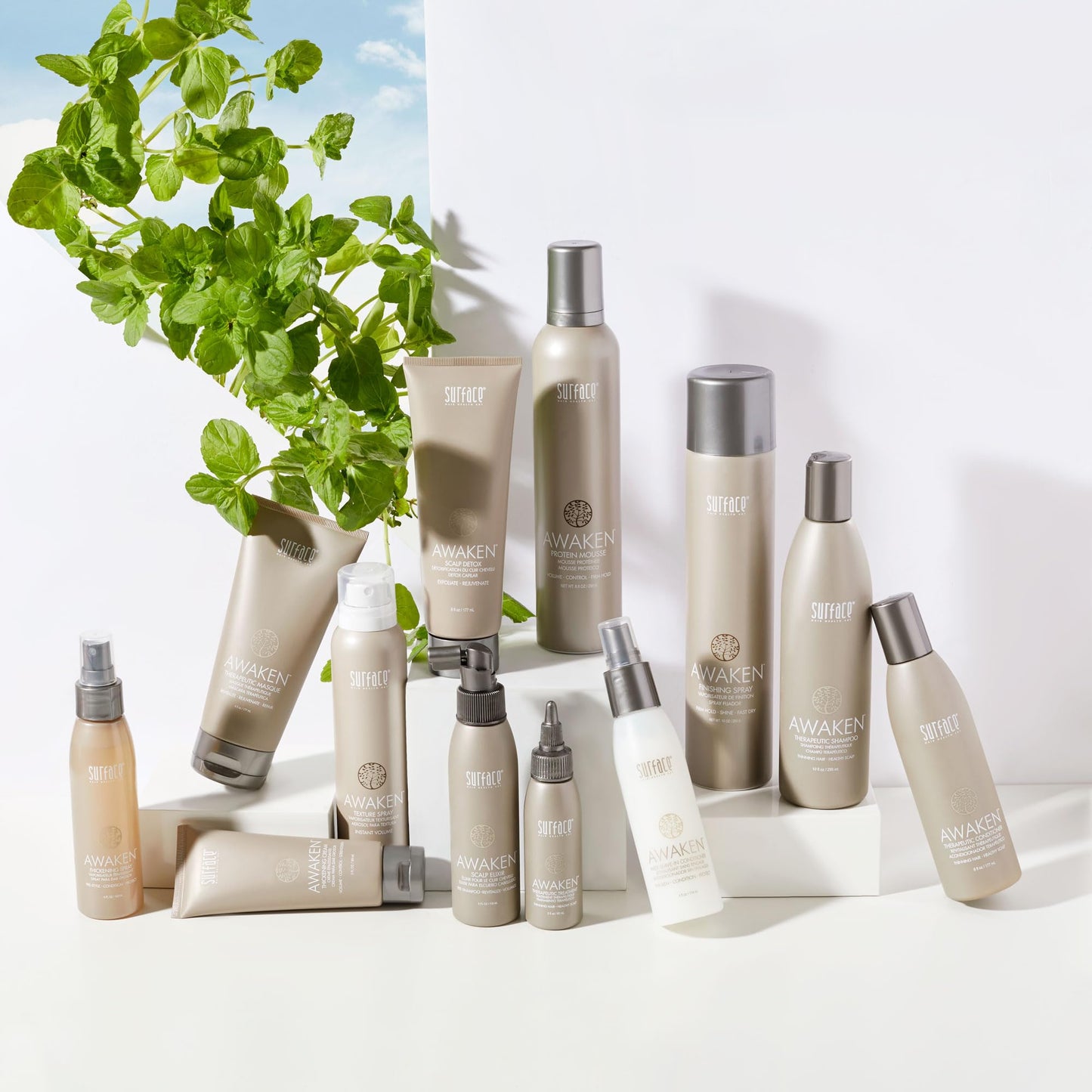 Surface Hair - Awaken Therapeutic Scalp Detox – Natural Ingredients for Thinning Hair and a Healthy Scalp - 6 floz