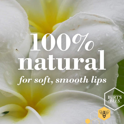 Burt's Bees 100% Natural Origin Lip Butter With Moisturizing Shea And Cocoa Butters, Lavender & Honey, 1 Tin