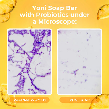 Feminine Wash & Yoni Oil & Yoni Soap Set for Women, Yoni Wash for Vaginal Ph Balance Remove Odor Moisturizing, 5.07 Feminine Wash & 1Fl.Oz Organic Essential Oil & 3.53oz Feminine Care Soap Pineapple