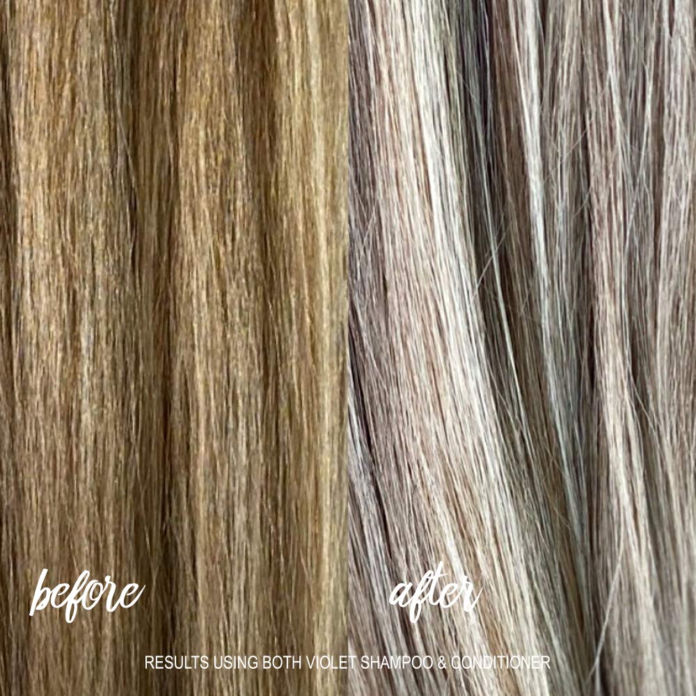 Surface Hair Pure Blonde Violet Shampoo
