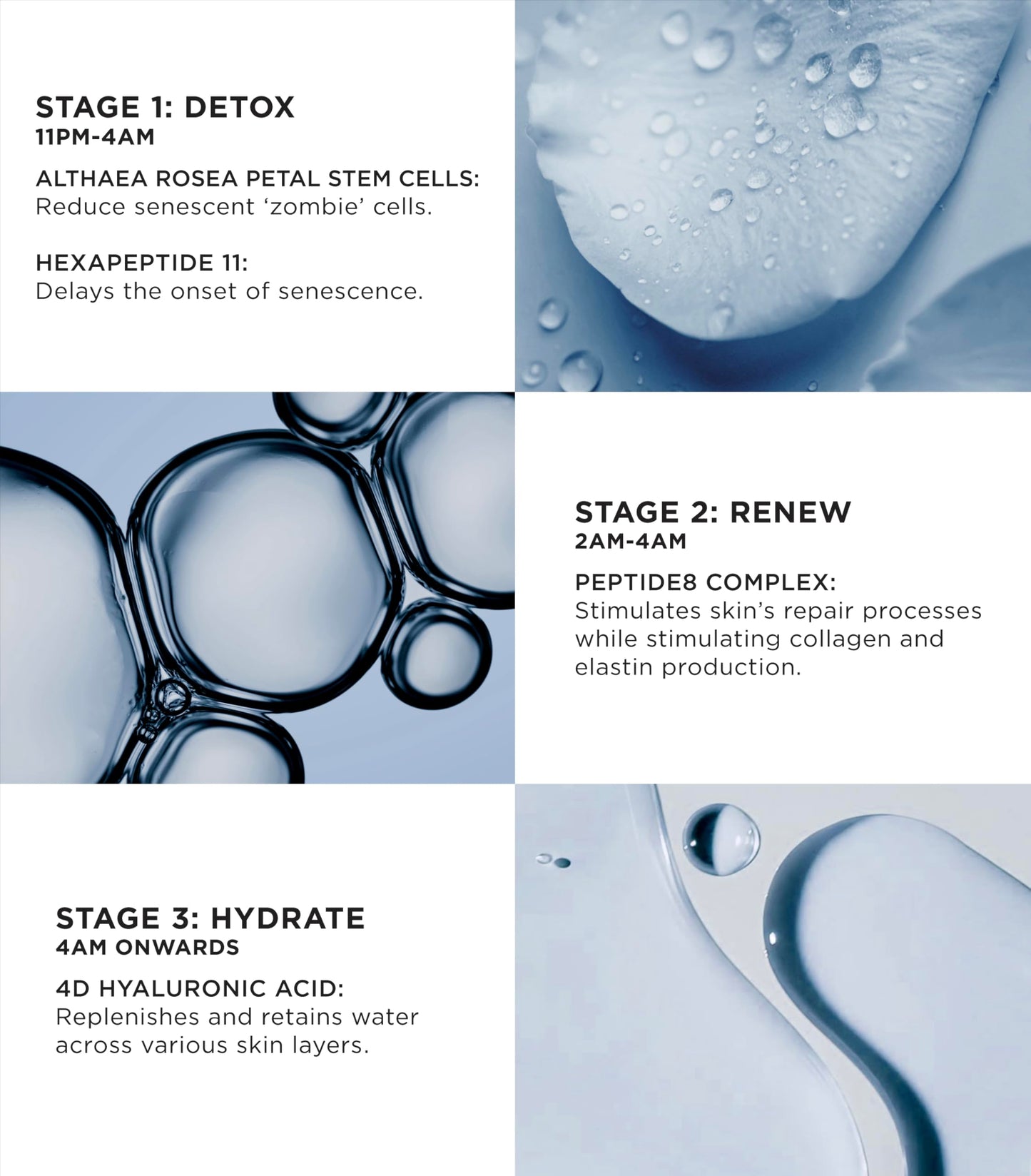 Peptide8 Night Serum Absolute Refill